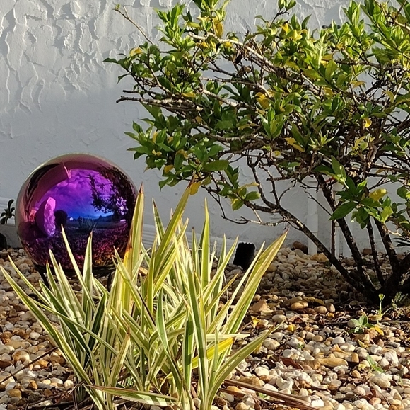 Meet your Posher, RxD - Picture 1 of 2